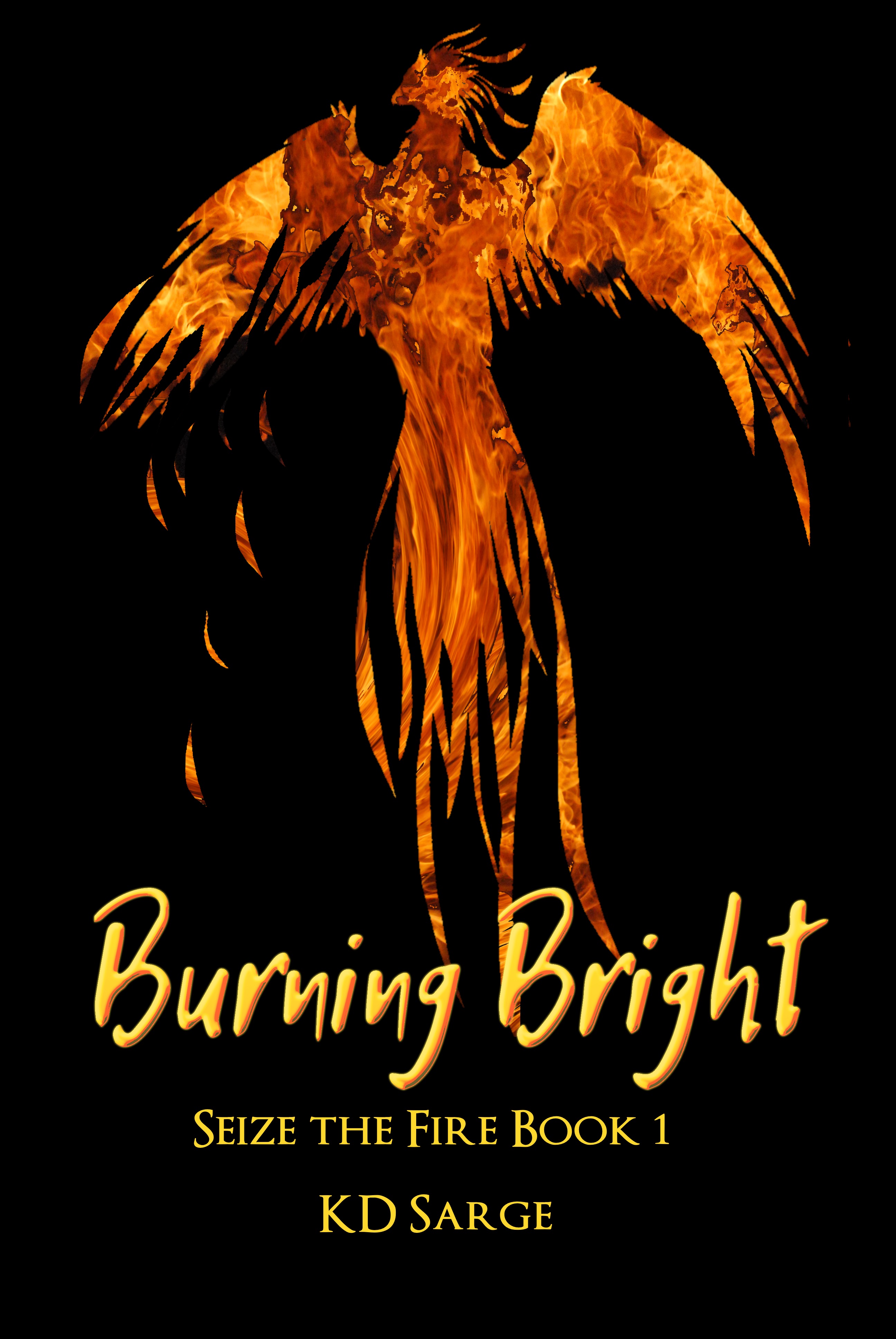 Burning Bright cover, a flaming phoenix on a black background